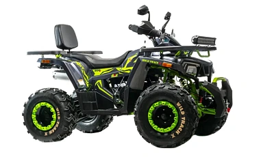 Квадроцикл MOTOLAND (МОТОЛЕНД)  VOX200 WILD TRACK X WINCH (баланс. вал)
