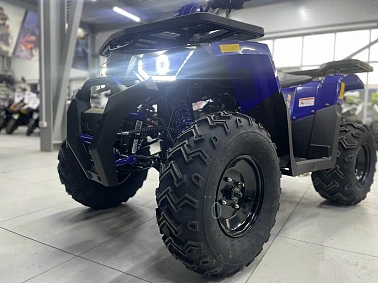 Квадроцикл PROMAX WILD 300