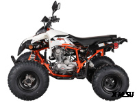 Квадрицикл KAYO A200 (белый пластик 2024 г.) (ПТС)