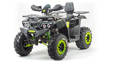 Квадроцикл PROMAX WILD 300 LUX (2024)