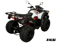 Квадрицикл KAYO AU150 (белый пластик 2024 г.) (ПТС)