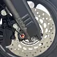 Скутер PROMAX STALKER TKE-49.5